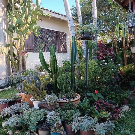 Studio Cravo E Canela - Aconchego E Privacidade, Ideal Para Casais, Com Cozinha Completa, Wi-Fi, Vaga De Garagem, Excelente Custo Beneficio, Lugar Tranquilo Entre As Praias Dos Ingleses E Mocambique Florianópolis Buitenkant foto