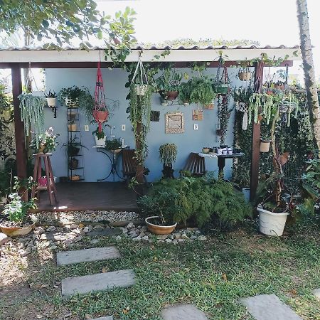 Studio Cravo E Canela - Aconchego E Privacidade, Ideal Para Casais, Com Cozinha Completa, Wi-Fi, Vaga De Garagem, Excelente Custo Beneficio, Lugar Tranquilo Entre As Praias Dos Ingleses E Mocambique Florianópolis Buitenkant foto