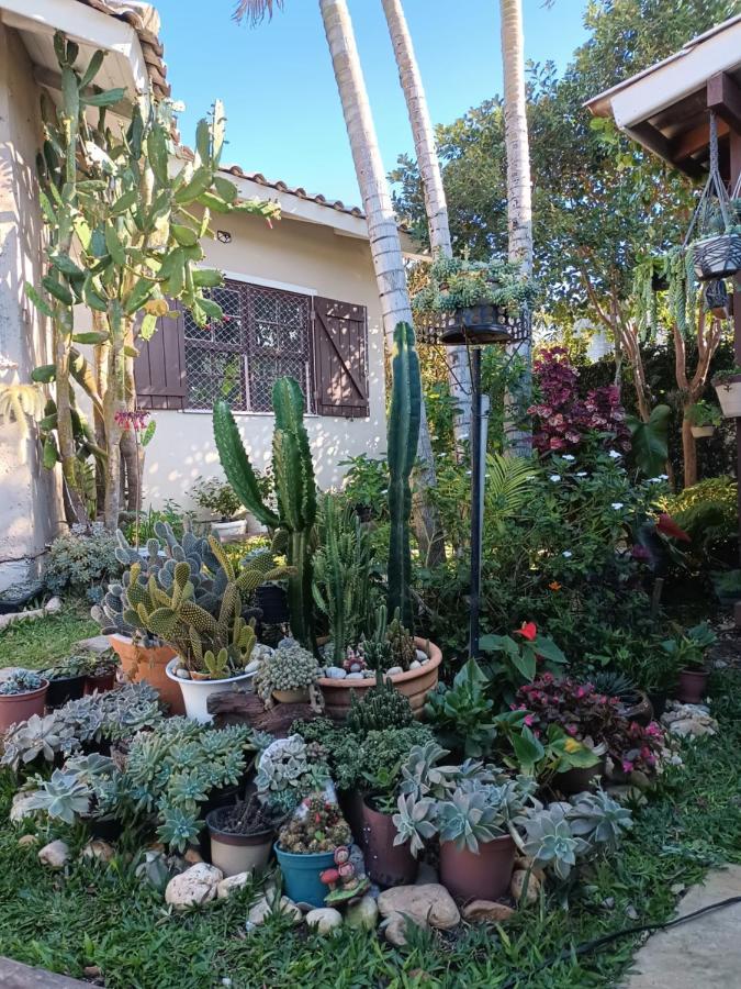 Studio Cravo E Canela - Aconchego E Privacidade, Ideal Para Casais, Com Cozinha Completa, Wi-Fi, Vaga De Garagem, Excelente Custo Beneficio, Lugar Tranquilo Entre As Praias Dos Ingleses E Mocambique Florianópolis Buitenkant foto
